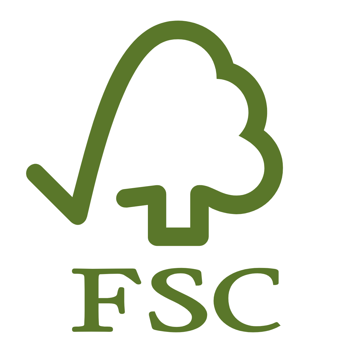 Ngoc Diep Packaging’s Sustainable Development – Green Packaging Solutions