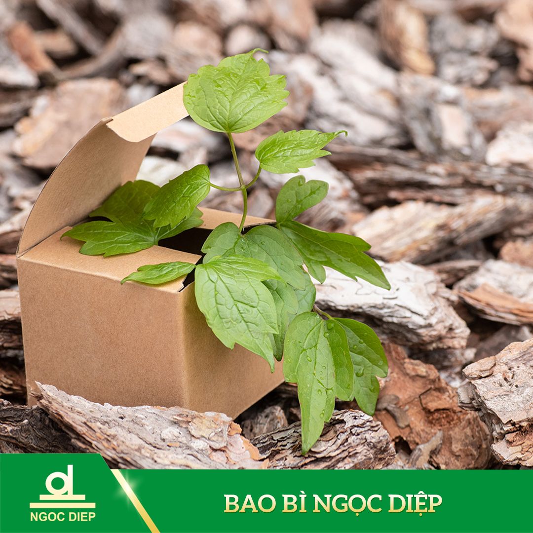 Những Lợi Ích Của Việc Sử Dụng Bao Bì Giấy, Thùng Carton