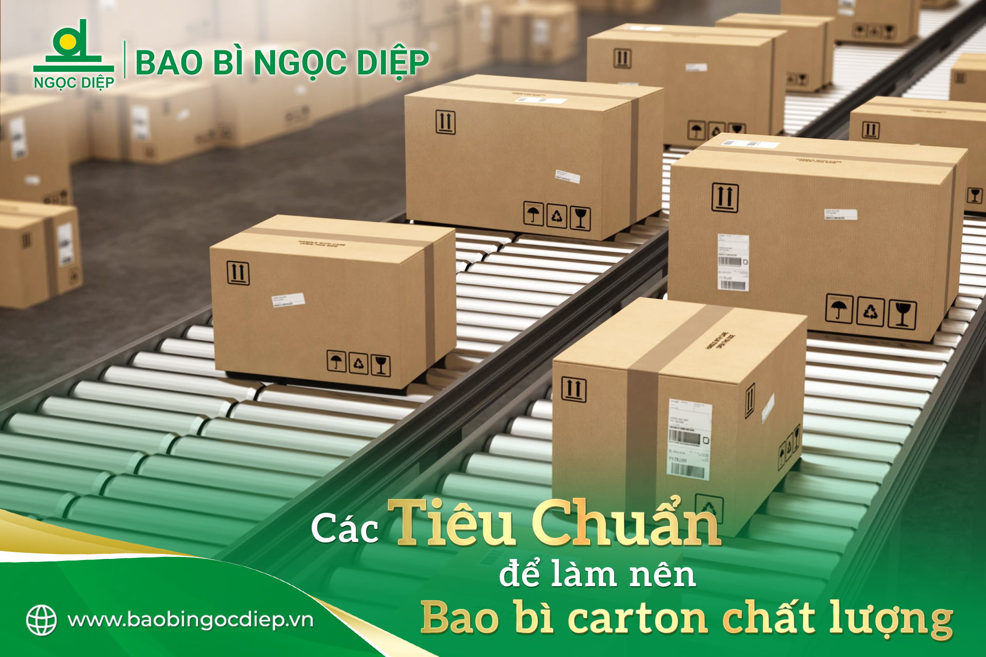 Các Tiêu Chuẩn Cơ Bản Làm Nên Bao Bì Carton Chất Lượng