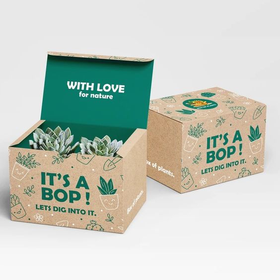 Bao bì carton: Hướng đi xanh cho phát triển bền vững