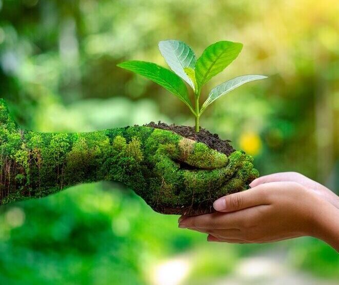 Protect the environment and reduce carbon emissions