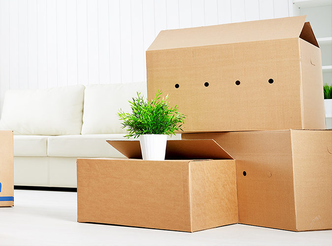 Spotlight on the latest trends in carton packaging production