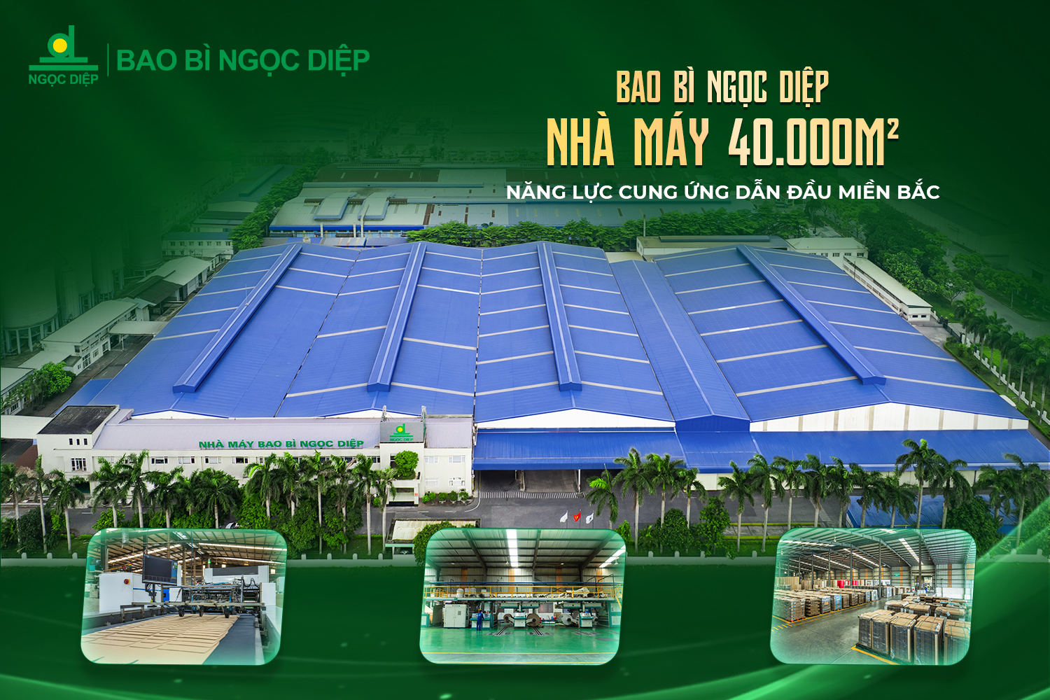 Bao bì Ngọc Diệp bảo đảm tiến độ vận hành cho doanh nghiệp trước biến động chuỗi cung ứng