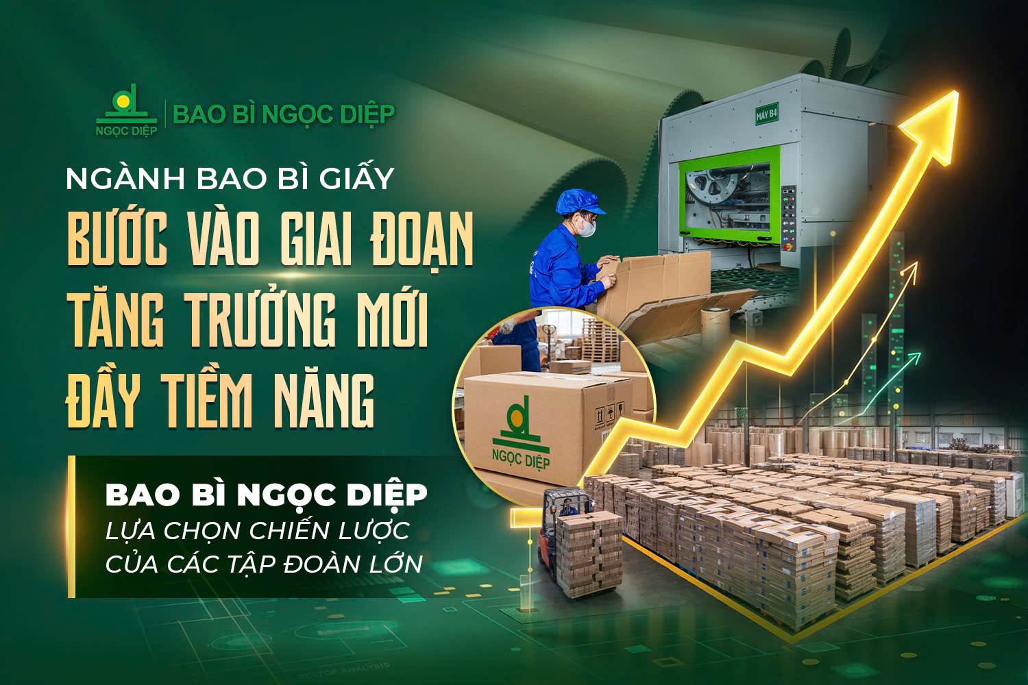 Ngành bao bì giấy bước vào giai đoạn tăng trưởng mới đầy tiềm năng