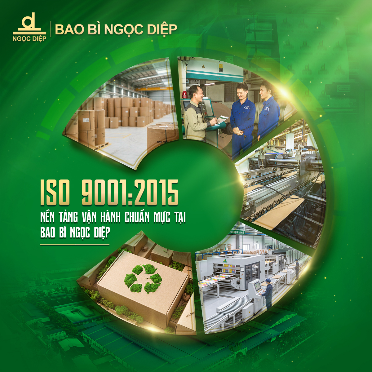 Tiêu chuẩn ISO 9001:2015 Là Gì? Bản chất và lợi ích trong ngành bao bì