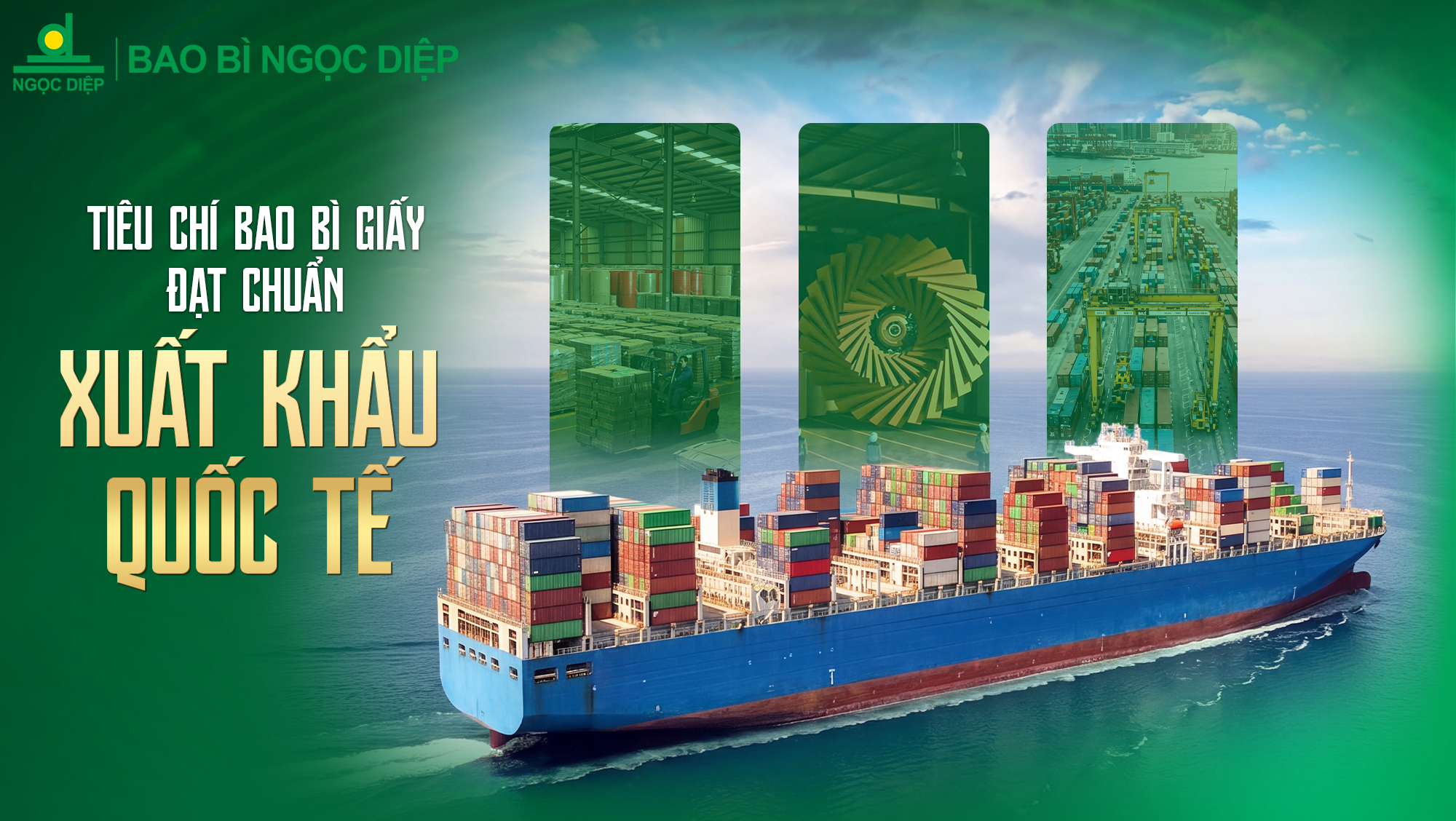 Tiêu chí bao bì giấy đạt chuẩn xuất khẩu quốc tế